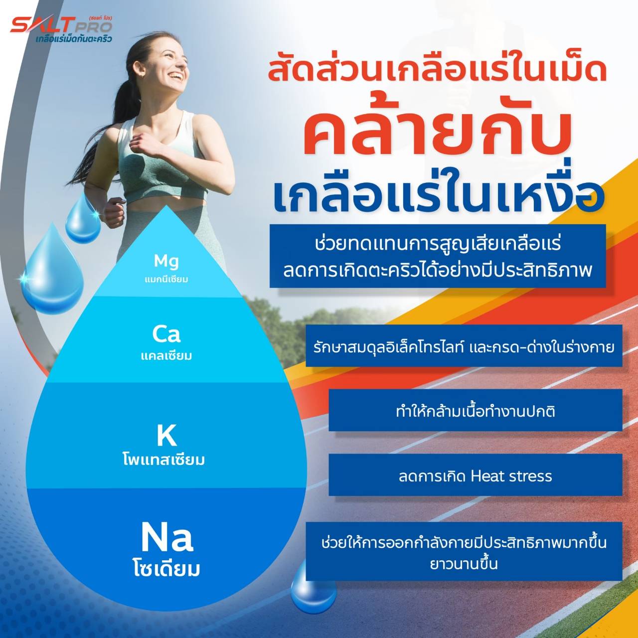 รูปภาพแกลเลอรี่ 5